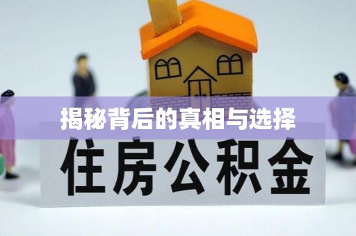 和龙揭秘背后的真相与选择