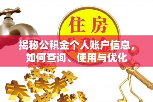 和龙揭秘公积金个人账户信息，如何查询、使用与优化