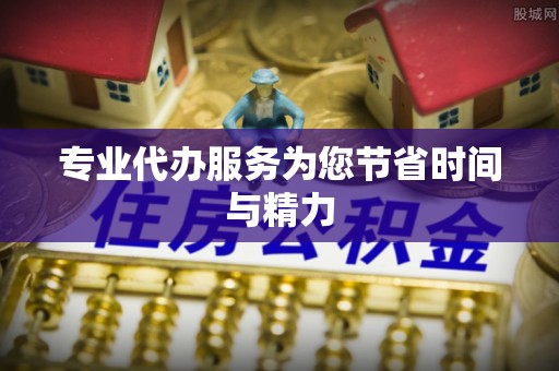 和龙专业代办服务为您节省时间与精力
