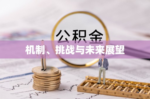 和龙机制、挑战与未来展望