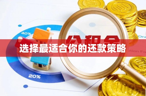 和龙选择最适合你的还款策略
