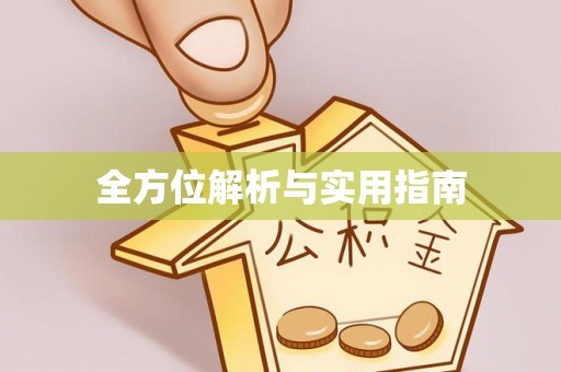和龙全方位解析与实用指南