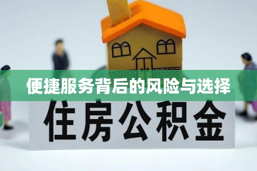 和龙便捷服务背后的风险与选择