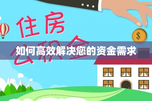 和龙如何高效解决您的资金需求