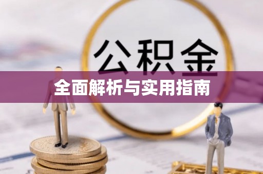 和龙全面解析与实用指南