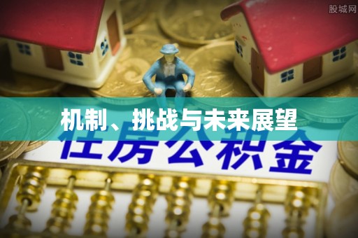 和龙机制、挑战与未来展望